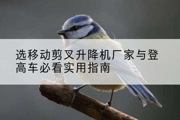 鹤壁电动升降机厂家-选移动剪叉升降机厂家与登高车必看实用指南