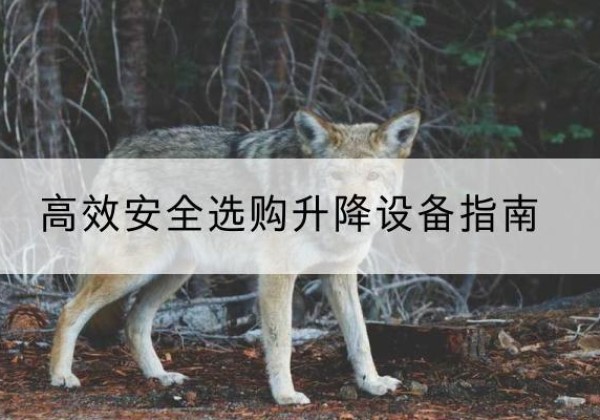 鹤壁升降货梯厂家推荐-*安全选购升降设备指南