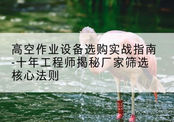 鹤壁剪叉式升降机厂家-高空作业设备选购实战指南-十年工程师揭秘厂家筛选核心法则